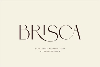 Brisca Font: Creative Typeface Projects & Design Tips